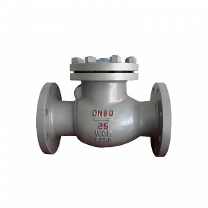 DN50 PN25 介質(zhì)：甲胺，溫度：80℃止回閥