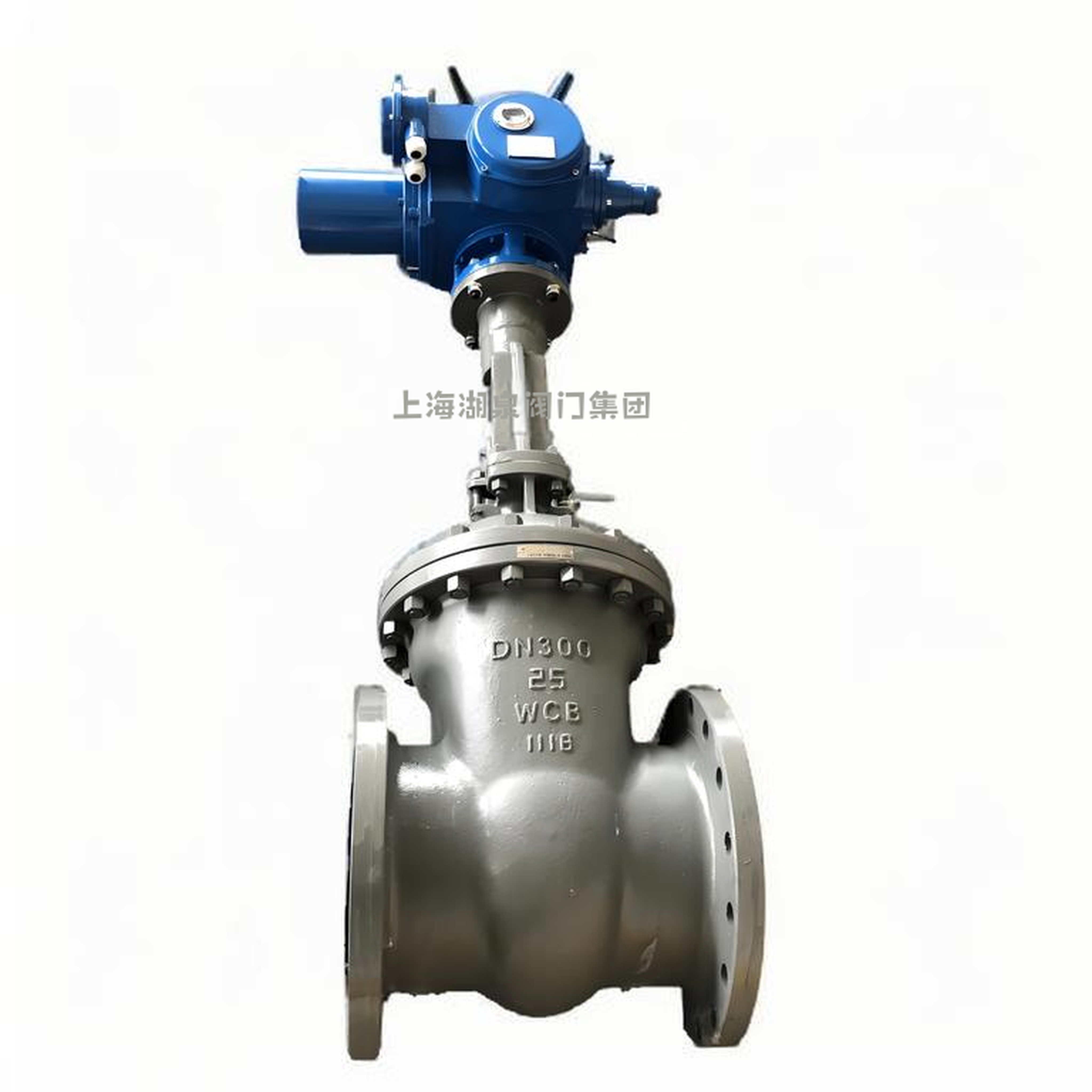 電動(dòng)大口徑鑄鋼閘閥dn900