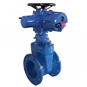 上海湖泉電動(dòng)不銹鋼閘閥100-z945w-16p