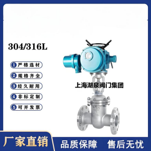 Z941W-16P，DN250，CF8/F304不銹鋼電動(dòng)閘閥